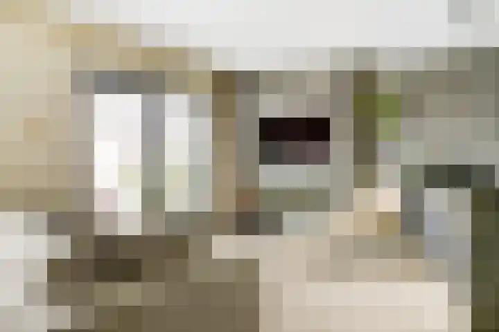 Laat 13 A Alkmaar thumbnail 10