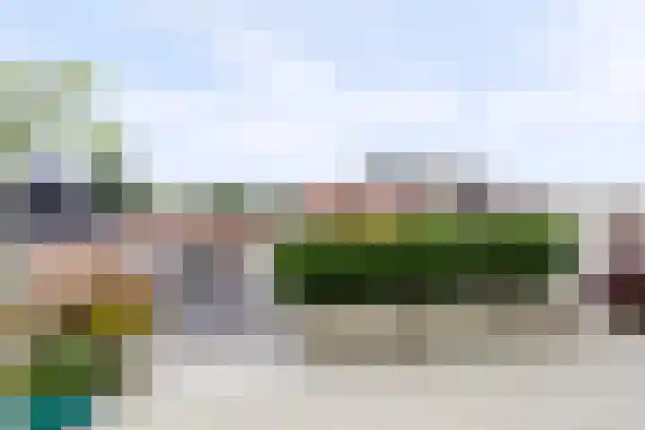 Laat 13 A Alkmaar thumbnail 13
