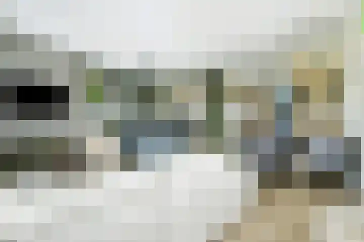 Laat 13 A Alkmaar thumbnail 15