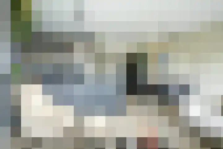Laat 13 A Alkmaar thumbnail 16