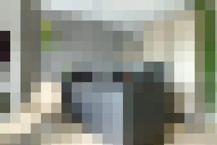 Laat 13 A Alkmaar thumbnail 17