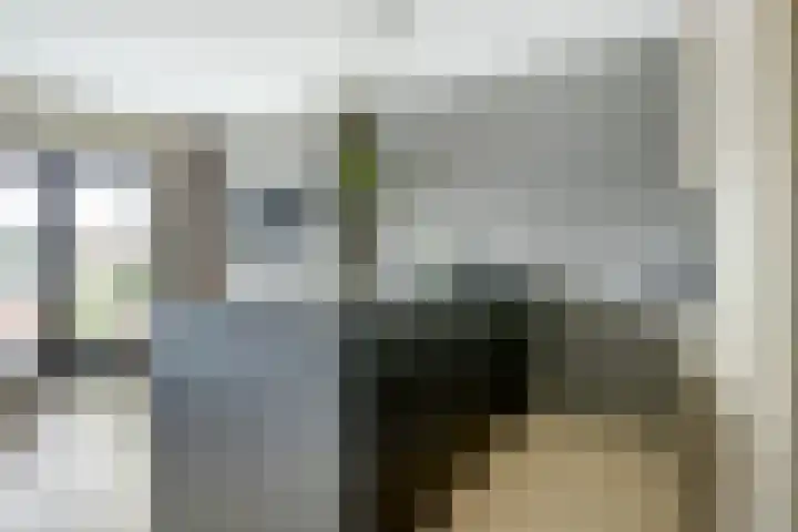Laat 13 A Alkmaar thumbnail 18