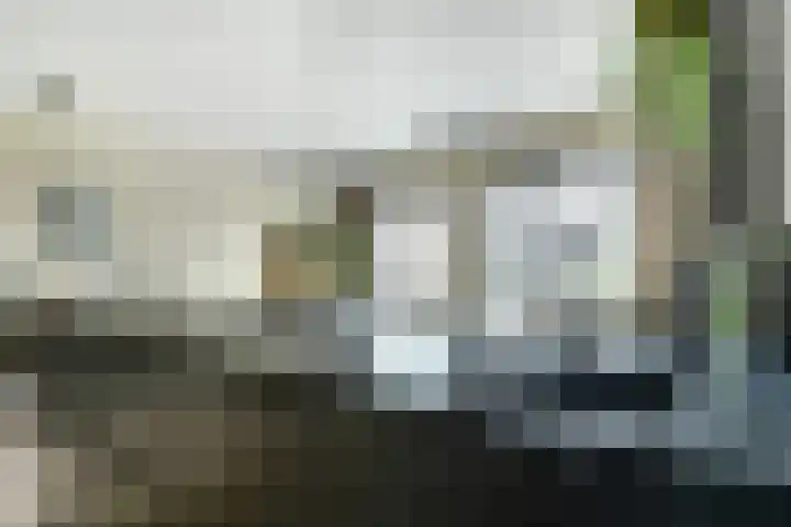 Laat 13 A Alkmaar thumbnail 19