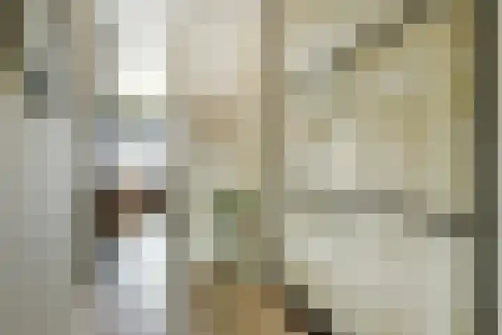Laat 13 A Alkmaar thumbnail 24