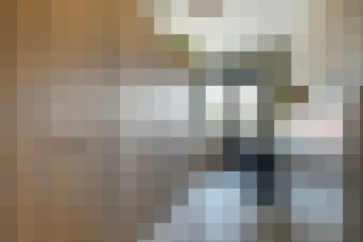 Laat 13 A Alkmaar thumbnail 29