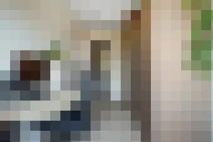 Laat 13 A Alkmaar thumbnail 30