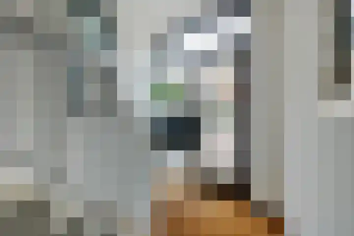 Laat 13 A Alkmaar thumbnail 4