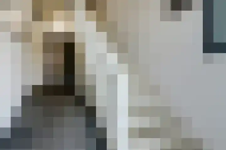 Laat 13 A Alkmaar thumbnail 5