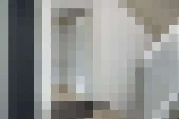 Laat 13 A Alkmaar thumbnail 6