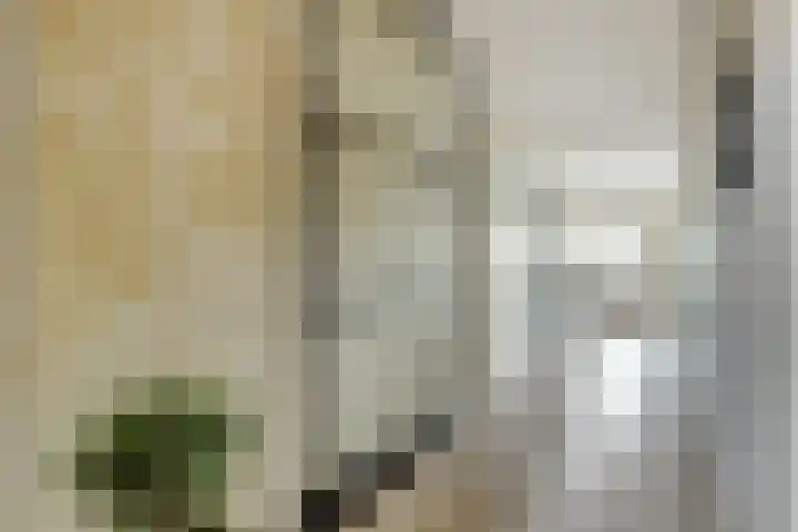 Laat 13 A Alkmaar thumbnail 7