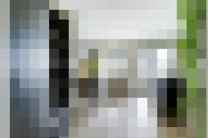 Laat 13 A Alkmaar thumbnail 8