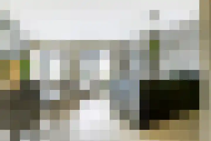 Laat 13 A Alkmaar thumbnail 9