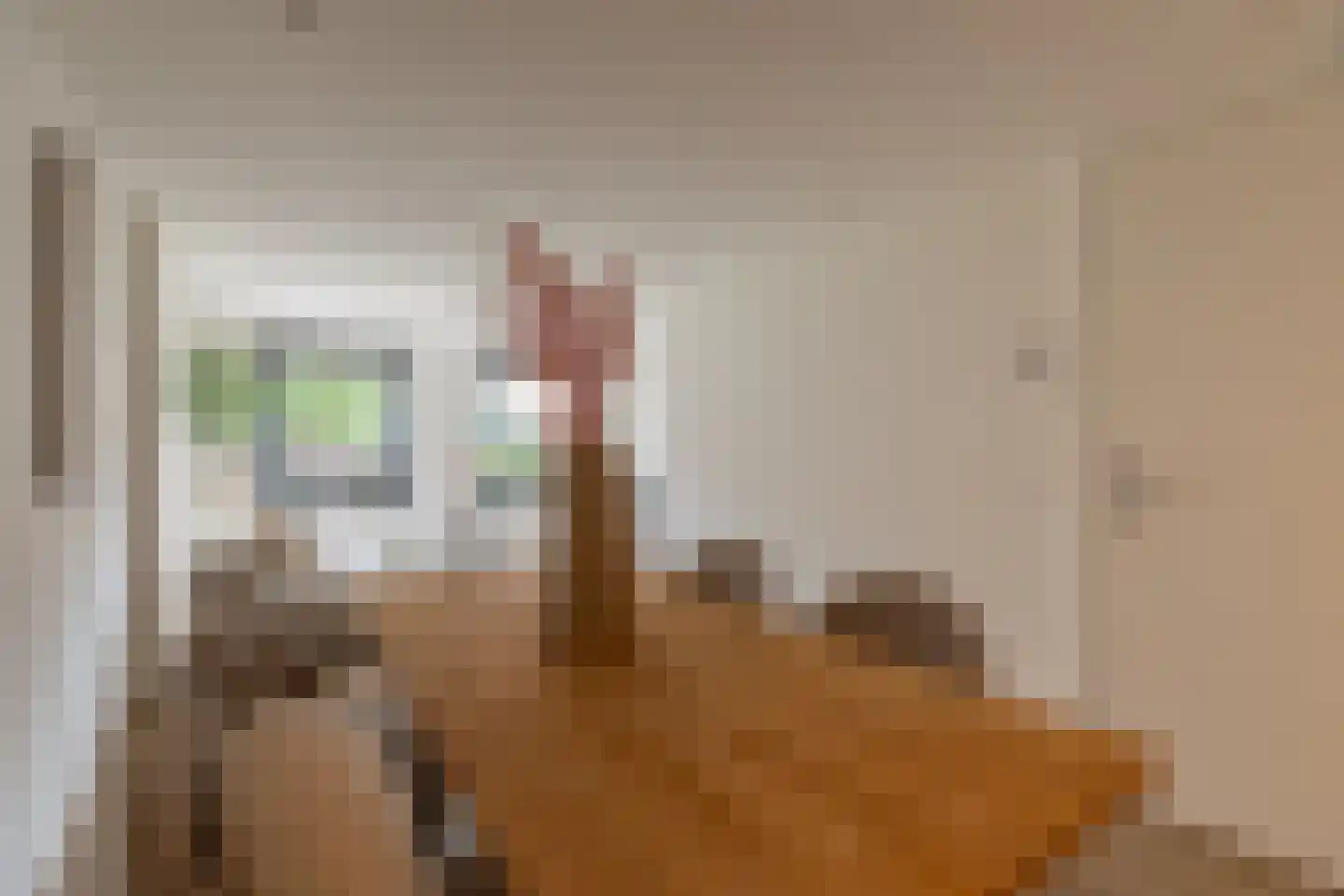 Laat 195 A Alkmaar thumbnail 8