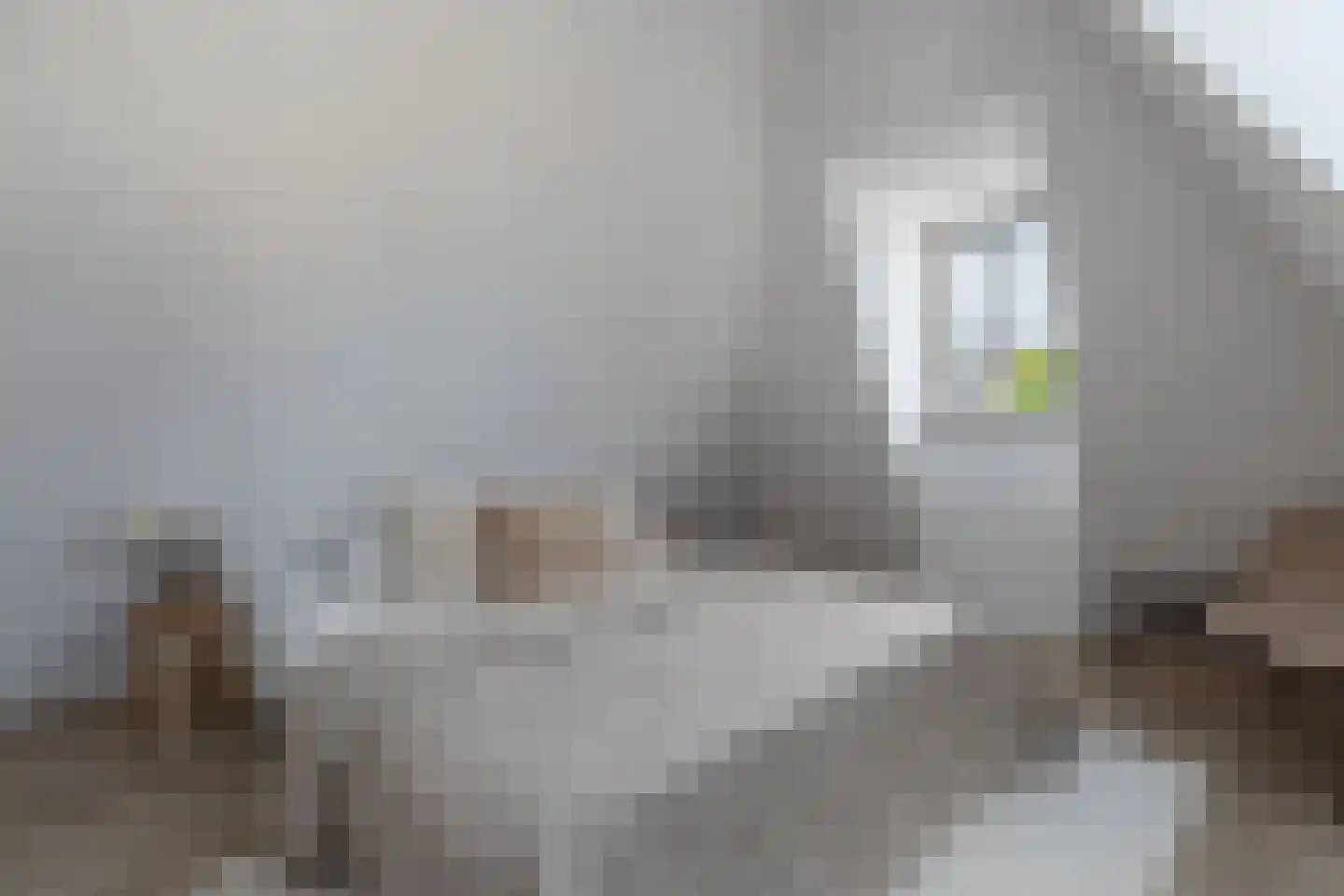 Laat 195 B Alkmaar thumbnail 20