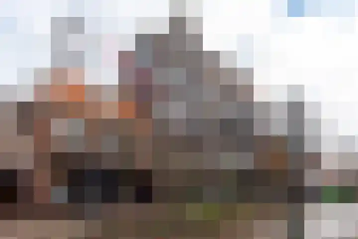 Laat 202 A Alkmaar