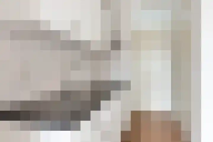 Laat 202 A Alkmaar thumbnail 15