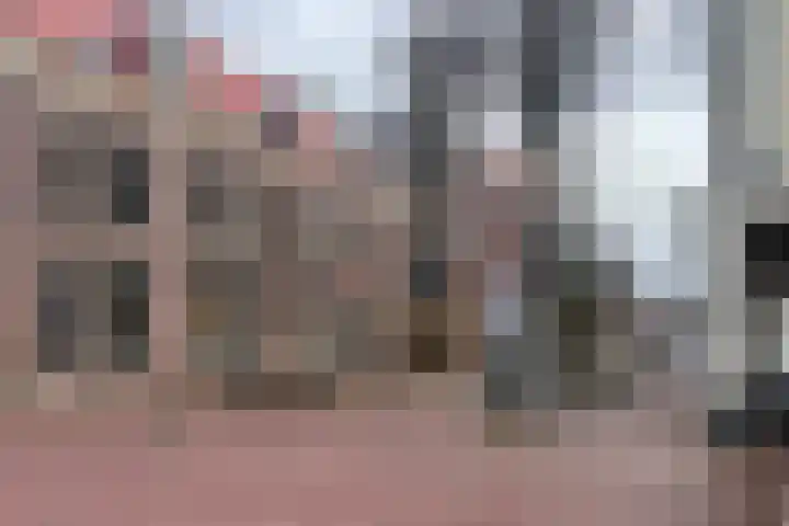 Laat 202 A Alkmaar thumbnail 25