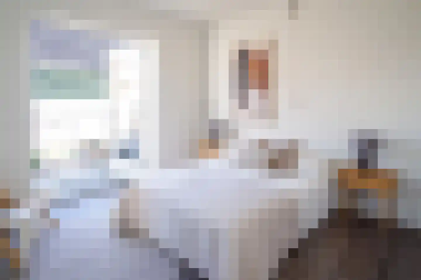 Laat 204 Alkmaar thumbnail 12