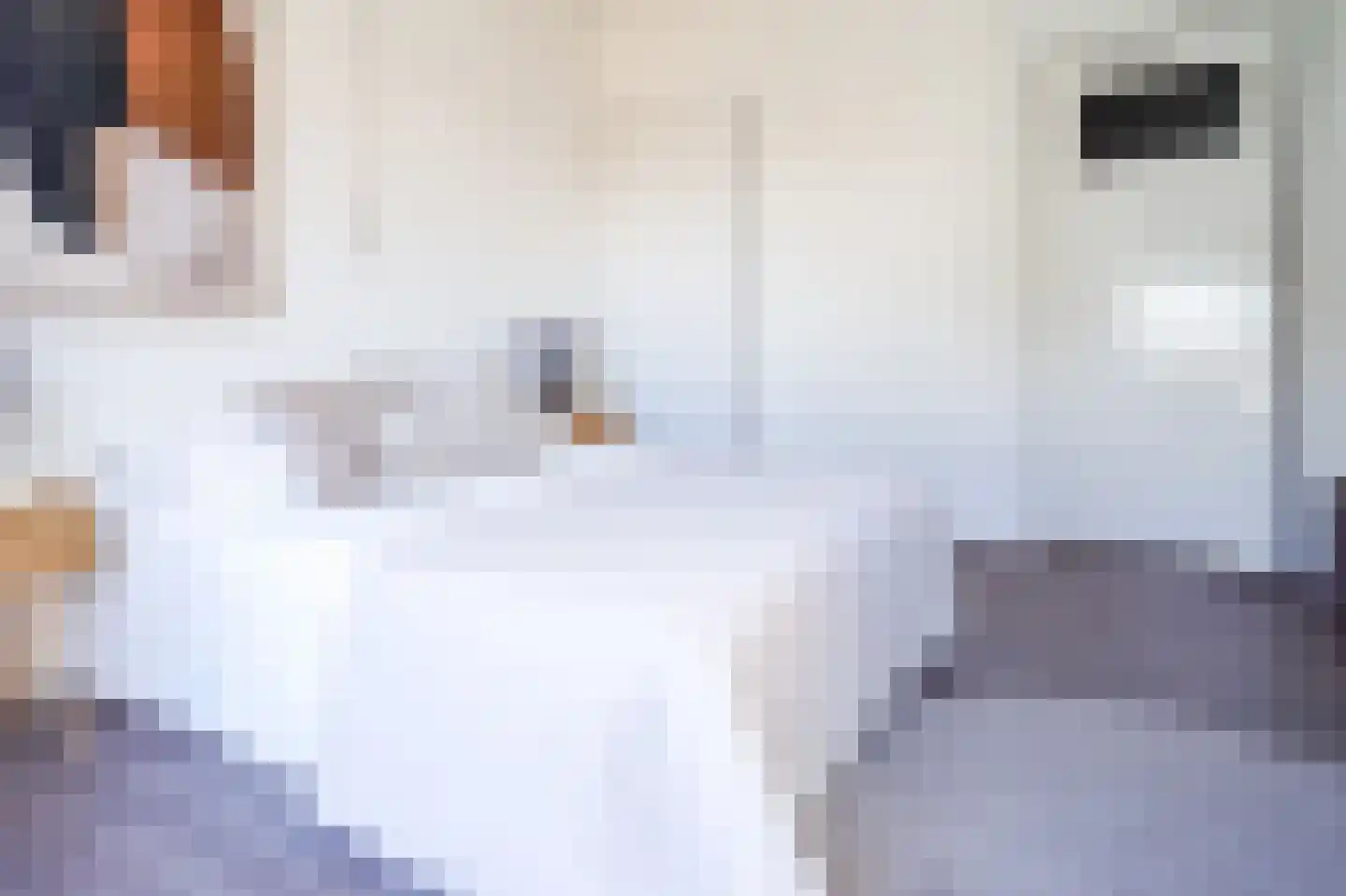 Laat 204 Alkmaar thumbnail 13