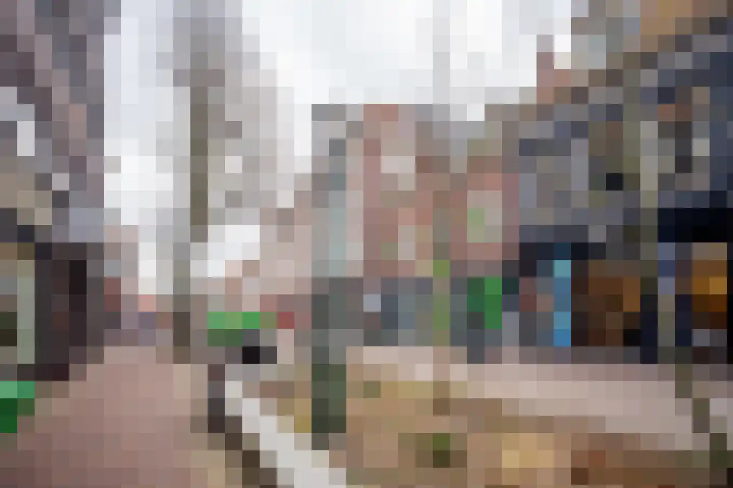 Laat 204 Alkmaar thumbnail 29