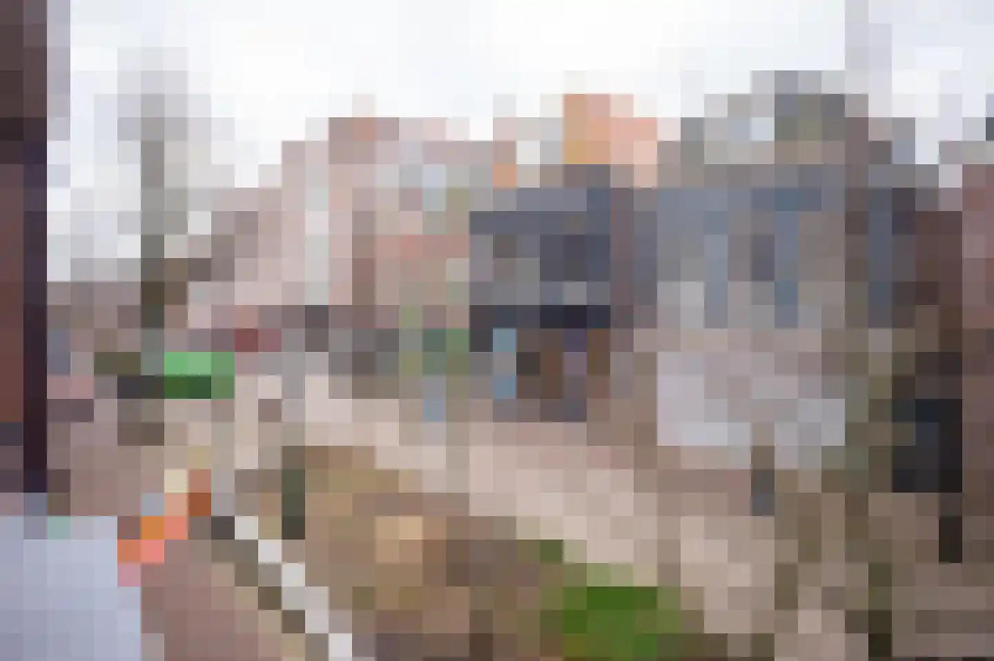Laat 204 Alkmaar thumbnail 31