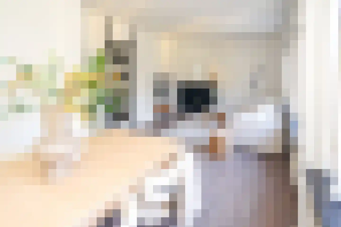 Laat 204 Alkmaar thumbnail 5