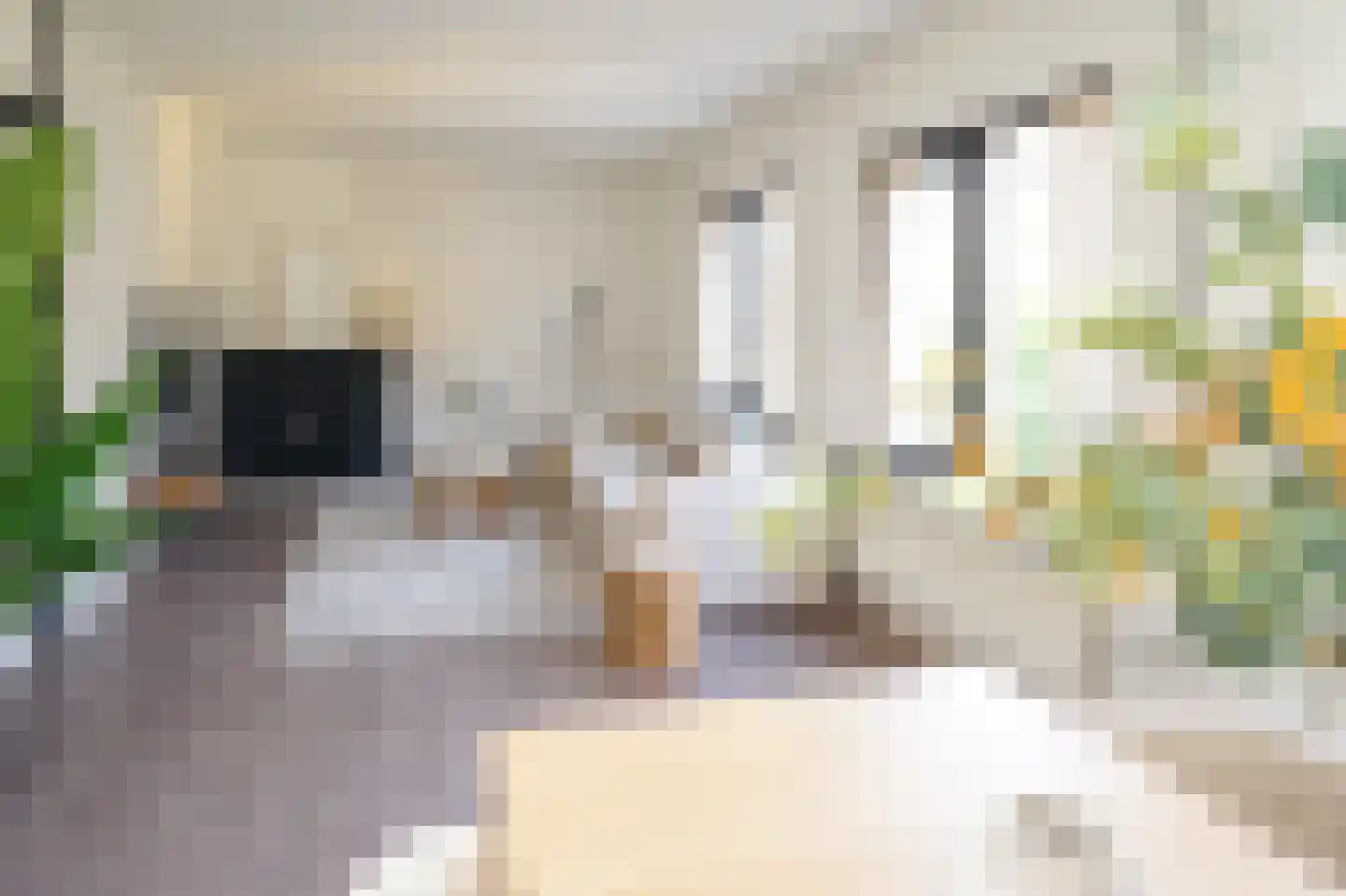 Laat 204 Alkmaar thumbnail 6