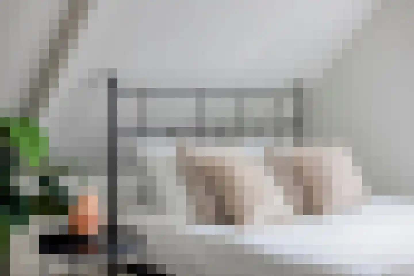 Laat 54 B Alkmaar thumbnail 16