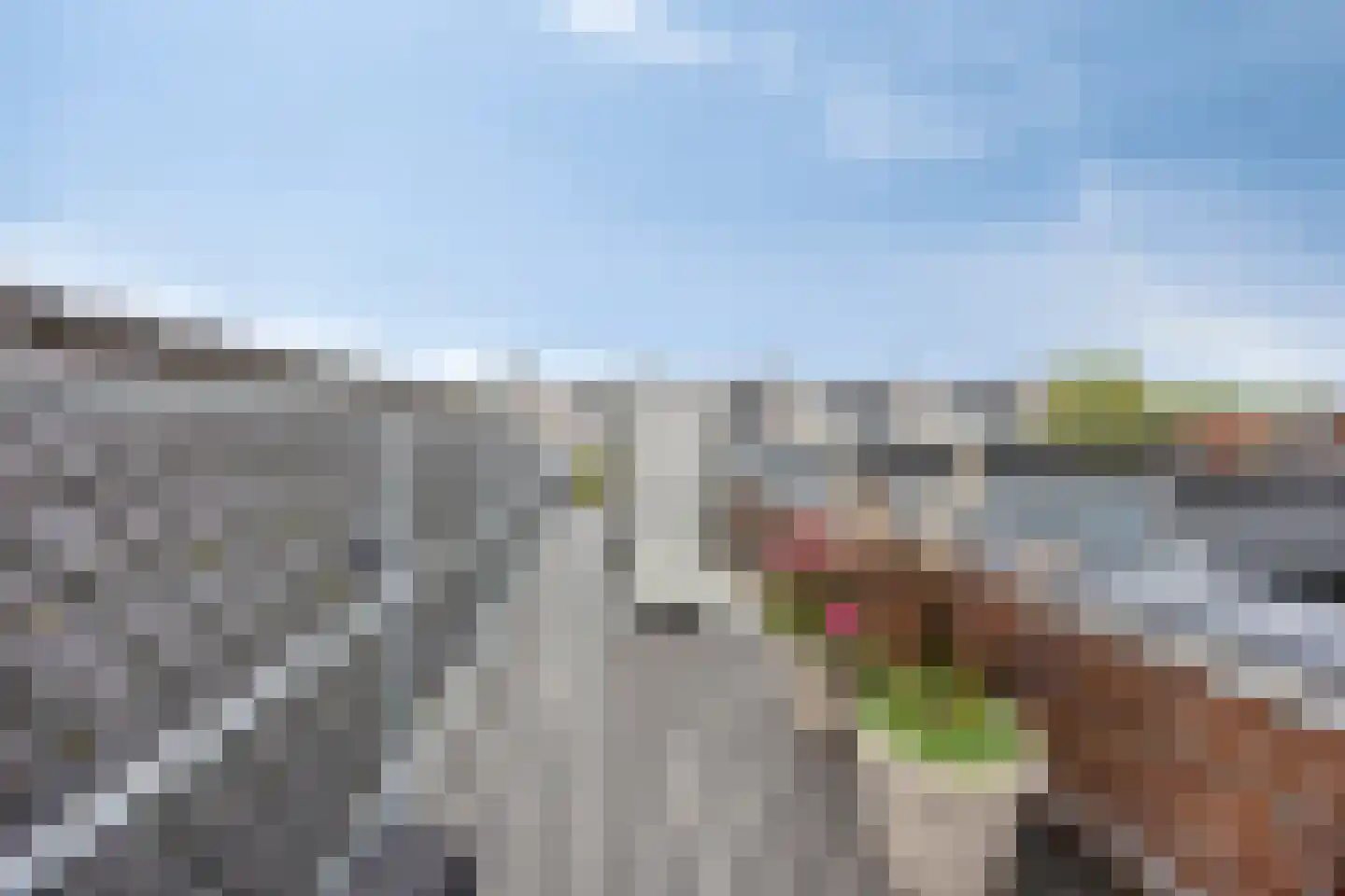Laat 54 B Alkmaar thumbnail 24