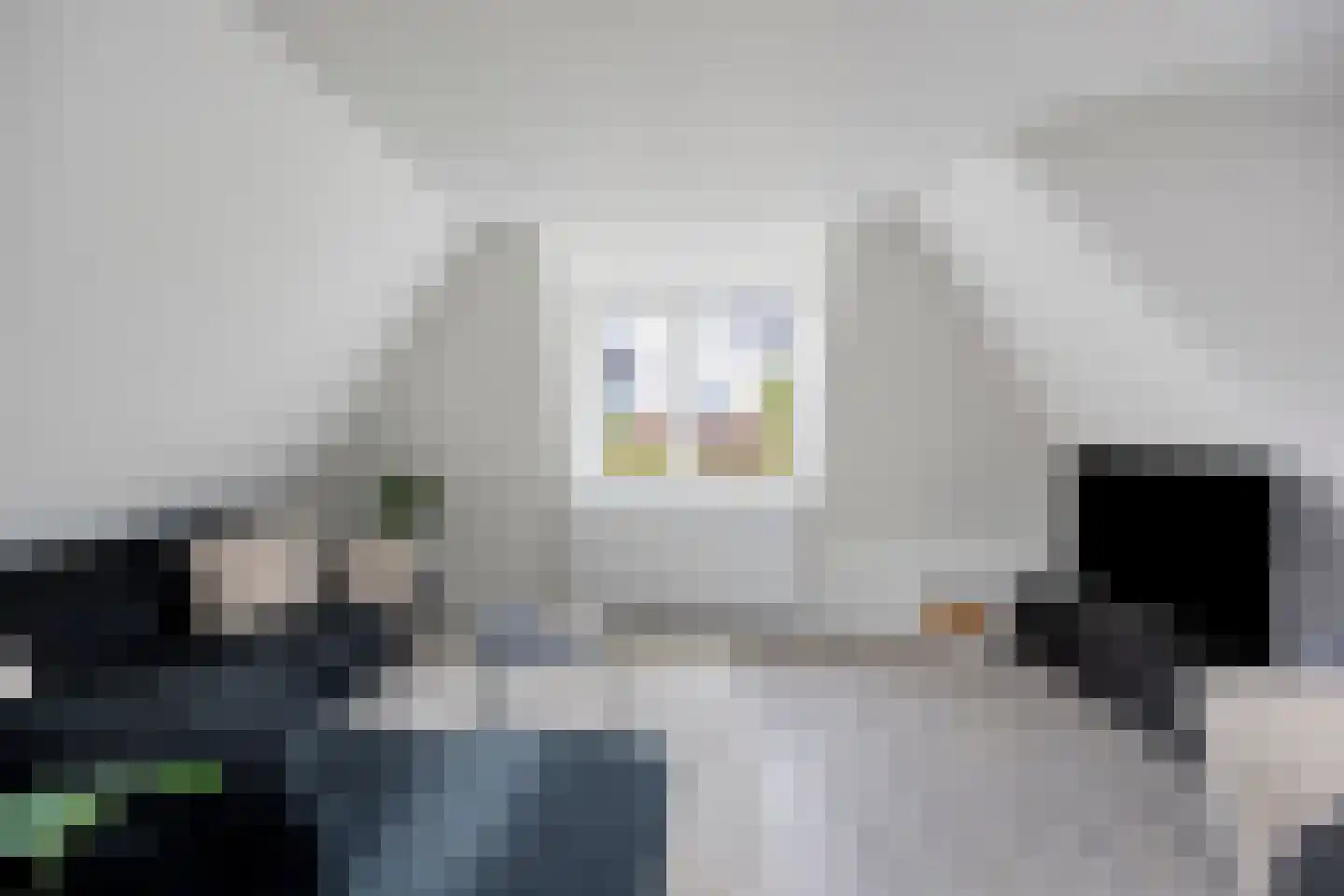 Laat 54 B Alkmaar thumbnail 6