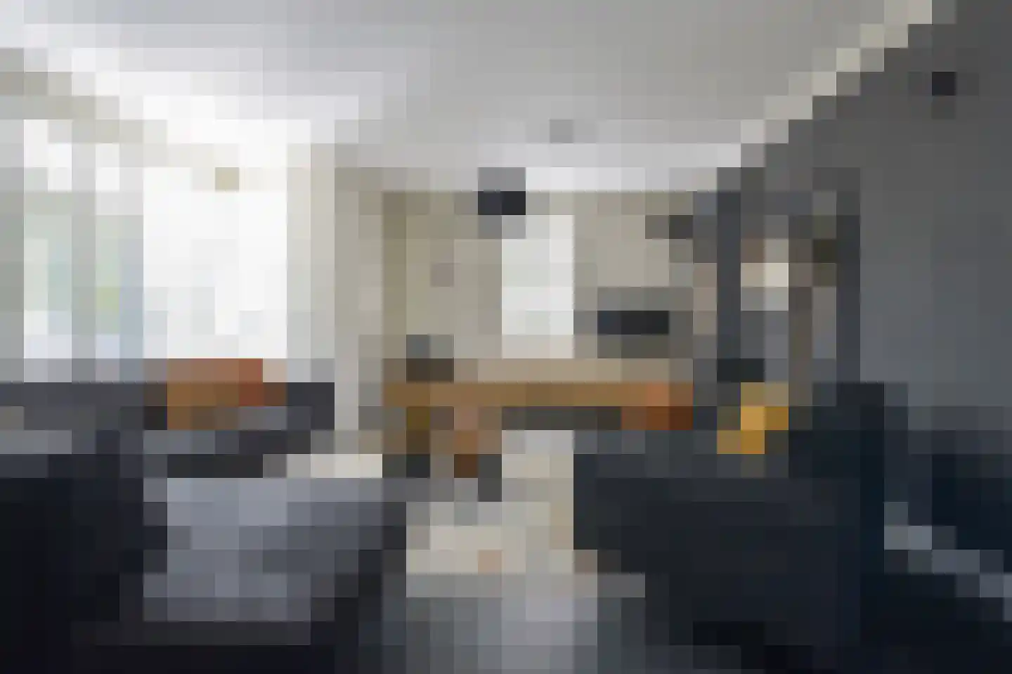 Laat 7 Tollebeek thumbnail 13