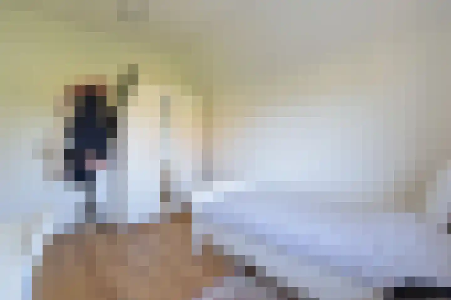 Laat 7 Tollebeek thumbnail 30