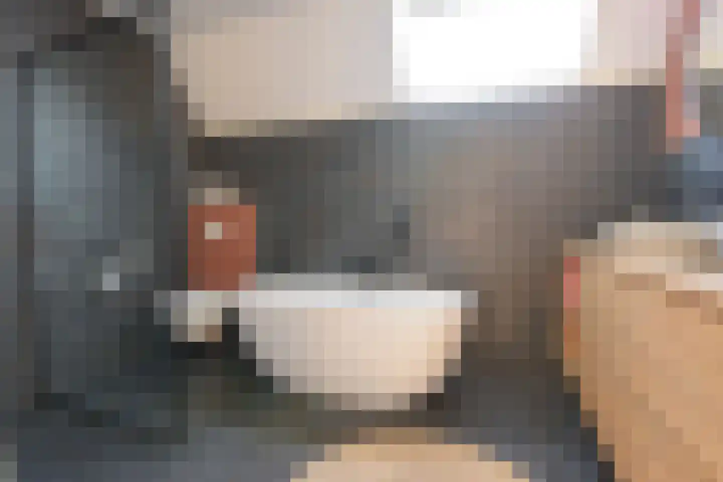 Laat 7 Tollebeek thumbnail 38