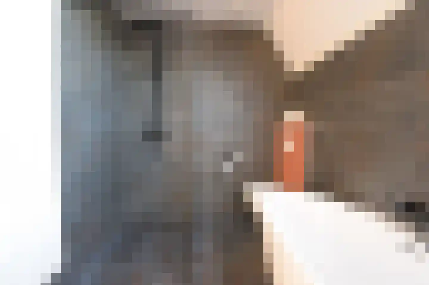 Laat 7 Tollebeek thumbnail 39