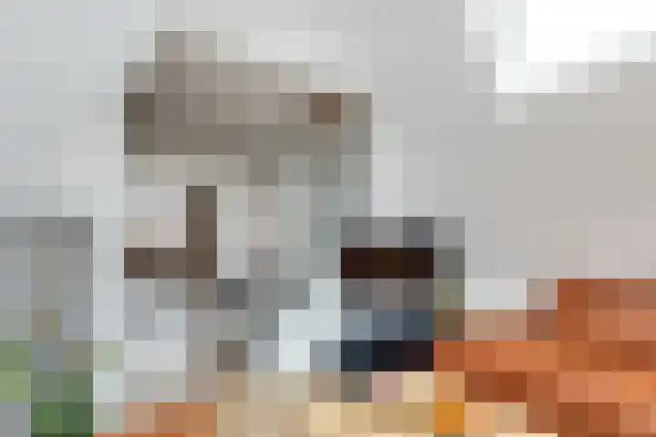 Laat 70 B Alkmaar thumbnail 10