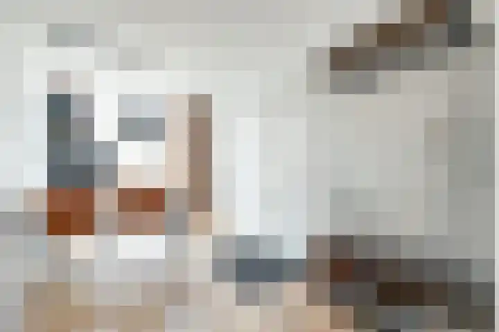 Laat 70 B Alkmaar thumbnail 12