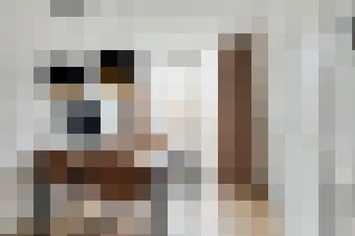 Laat 70 B Alkmaar thumbnail 13