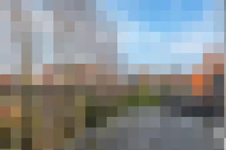 Laat 70 B Alkmaar thumbnail 17