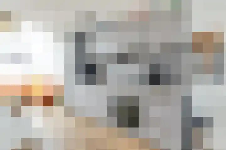 Laat 70 B Alkmaar thumbnail 7