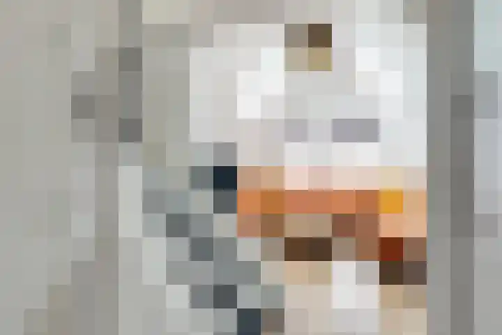 Laat 70 B Alkmaar thumbnail 8