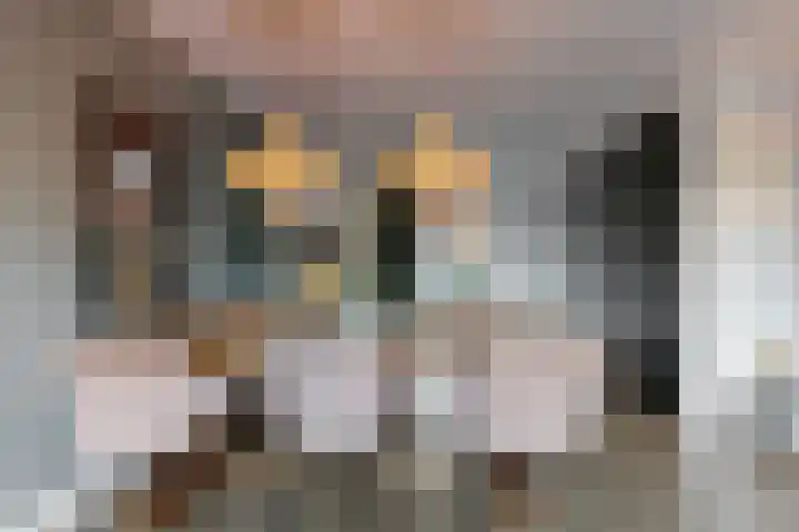 Laat 8 Tollebeek thumbnail 11
