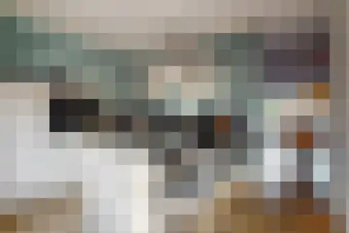Laat 8 Tollebeek thumbnail 14