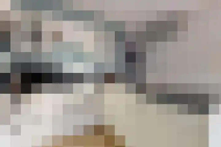 Laat 8 Tollebeek thumbnail 15
