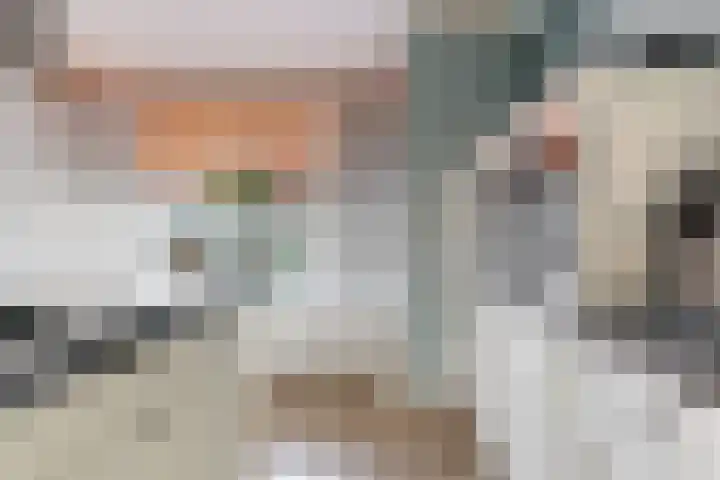 Laat 8 Tollebeek thumbnail 17
