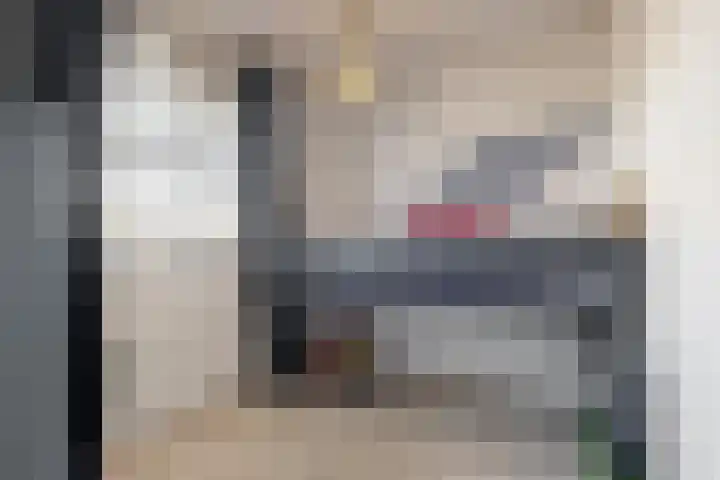 Laat 8 Tollebeek thumbnail 25