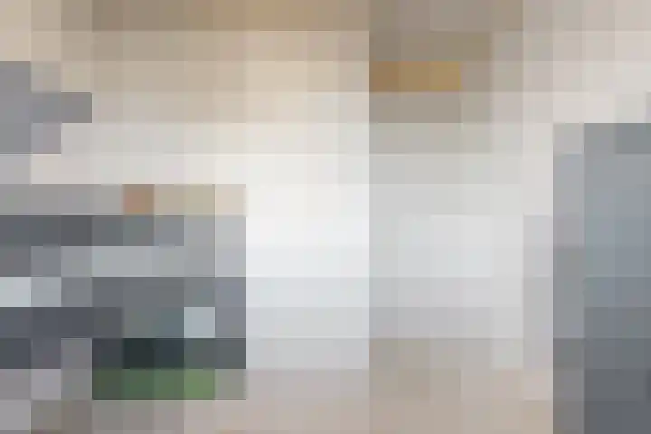 Laat 8 Tollebeek thumbnail 26