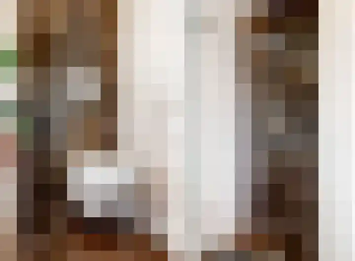 Laat 8 Tollebeek thumbnail 29