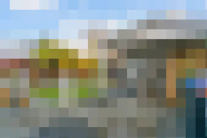 Laat 8 Tollebeek thumbnail 36