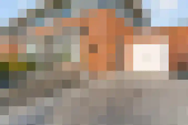 Laat 8 Tollebeek thumbnail 4