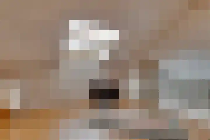 Laatbankstraat 25 Vaals thumbnail 31